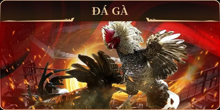 Cách Chơi Đá Gà GA28 Tại Xin88 Trải Nghiệm Cá Cược Độc Đáo