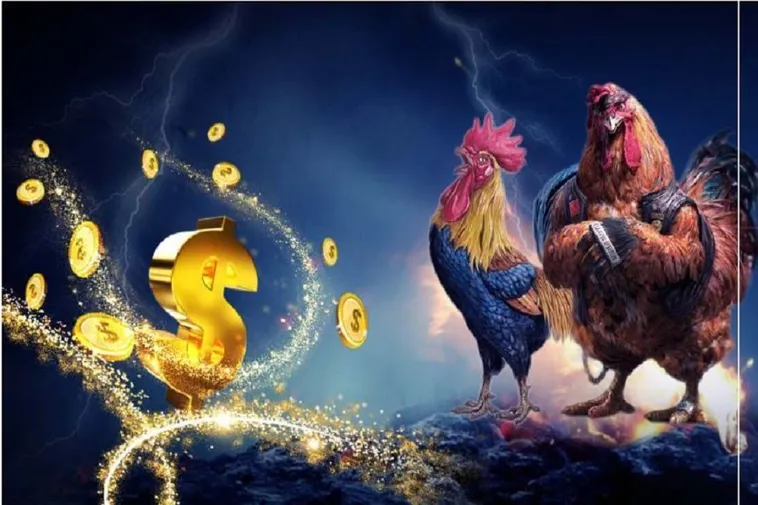 Hướng Dẫn Cách Chơi Đá Gà WS168 Tại Xin88 Dành Cho Người Mới