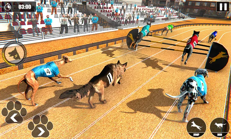 Cách Chơi Game Nhanh Đua Chó Tại Xin88 Thắng Lớn